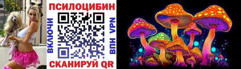 гидра ССЫЛКА  Холмск  Галлюциногенные грибы Psilocybine cubensis 