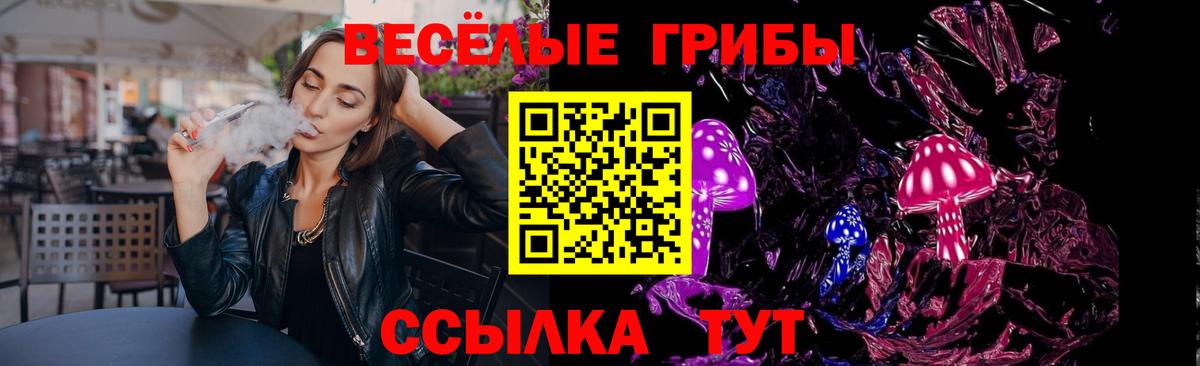 Псилоцибиновые грибы Psilocybine cubensis Холмск
